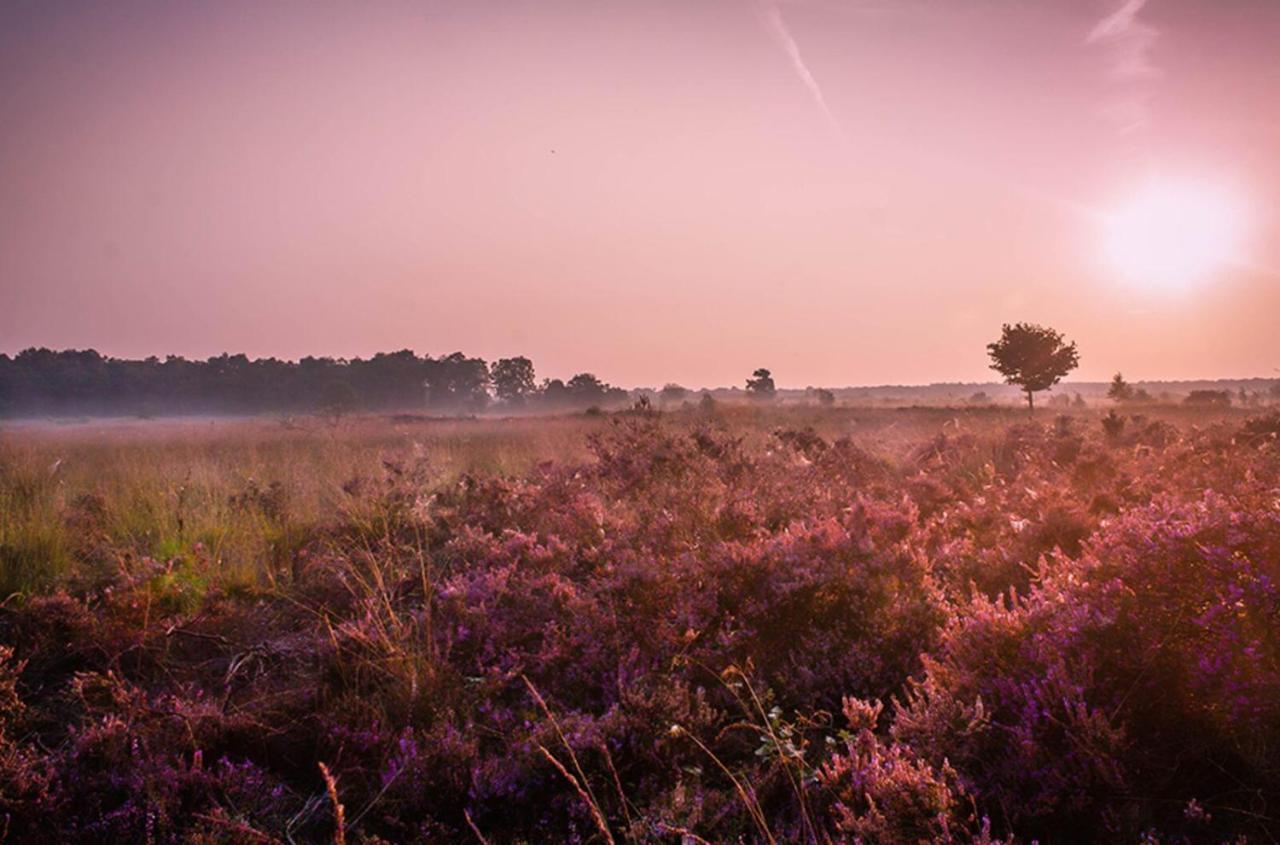 6-Persoons Veluwe Villa Voorthuizen Esterno foto